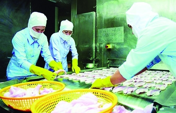 Việt Nam lần đầu chiếm vị trí thứ 5 xuất khẩu thủy sản vào Singapore