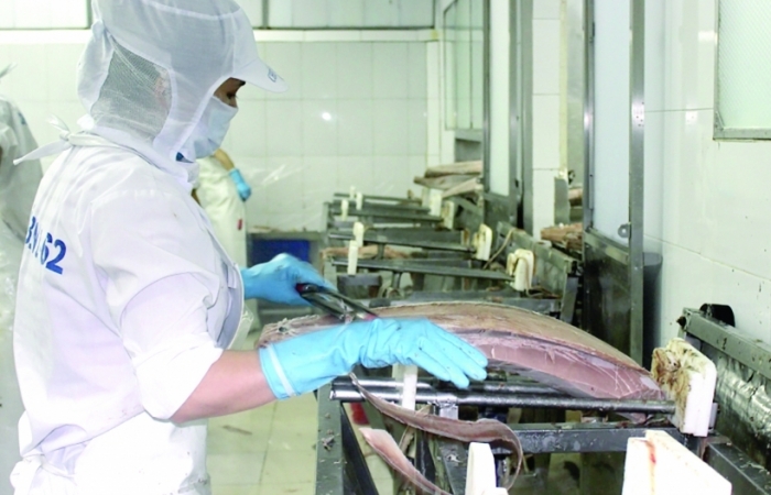 Thêm nhiều doanh nghiệp thủy sản được phép xuất khẩu vào Liên minh kinh tế Á – Âu.