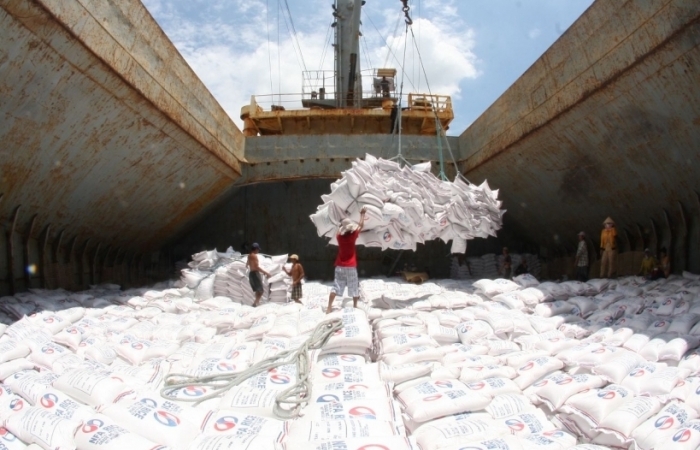 Phân bổ hạn ngạch thuế quan gạo Việt xuất khẩu theo EVFTA như thế nào?