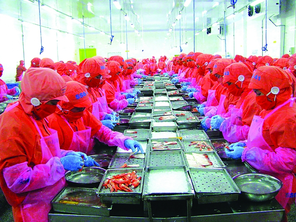 Việt Nam được đánh giá là nguồn cung tôm lớn nhất cho Hàn Quốc. 	Ảnh: ST