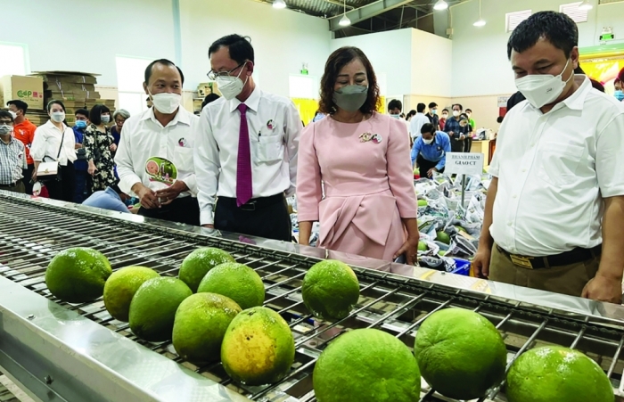 Sớm đưa trái bưởi Việt Nam đến với người tiêu dùng Mỹ