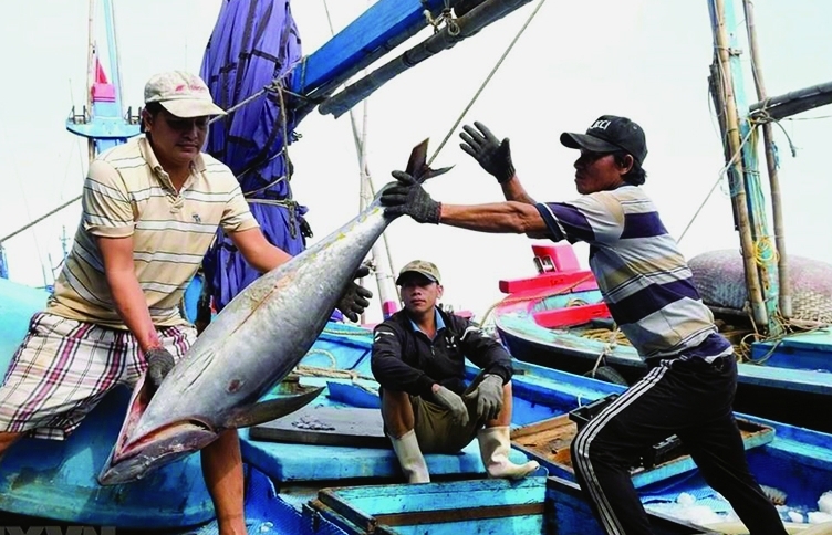 Việt Nam vượt Trung Quốc, trở thành nguồn cung cá ngừ lớn thứ 4 cho Peru