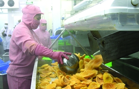 320 mã nông sản thực phẩm Việt Nam được nhập khẩu vào Trung Quốc