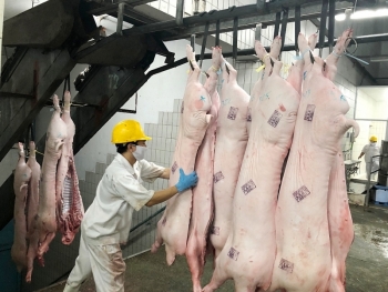 TPHCM: Nhiều giải pháp ổn định thị trường thịt heo