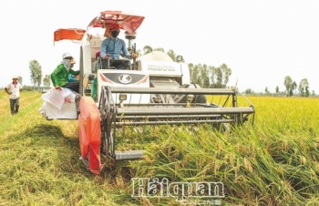 Nông nghiệp Việt Nam:  Một năm vượt "bão giông"