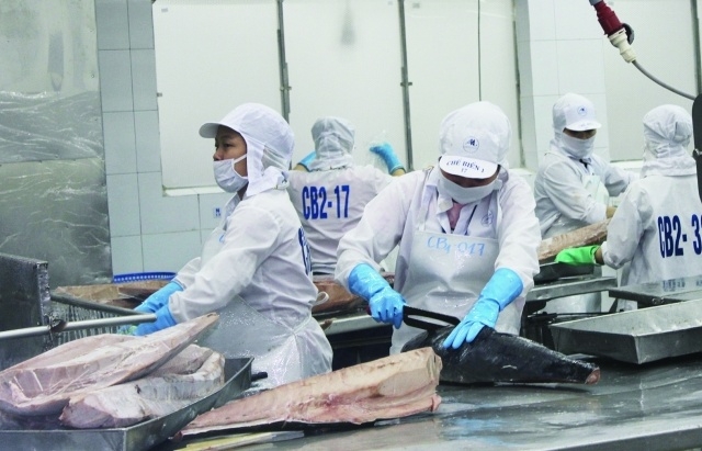 Xuất khẩu cá ngừ sang thị trường chính vẫn ảm đạm