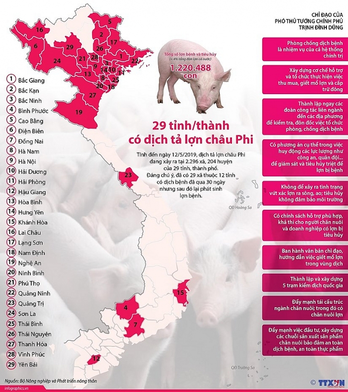 infographics 29 tinh thanh pho co dich ta lon chau phi