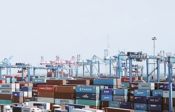 Tạo thuận lợi xuất khẩu hàng đông lạnh qua cảng Cát Lái