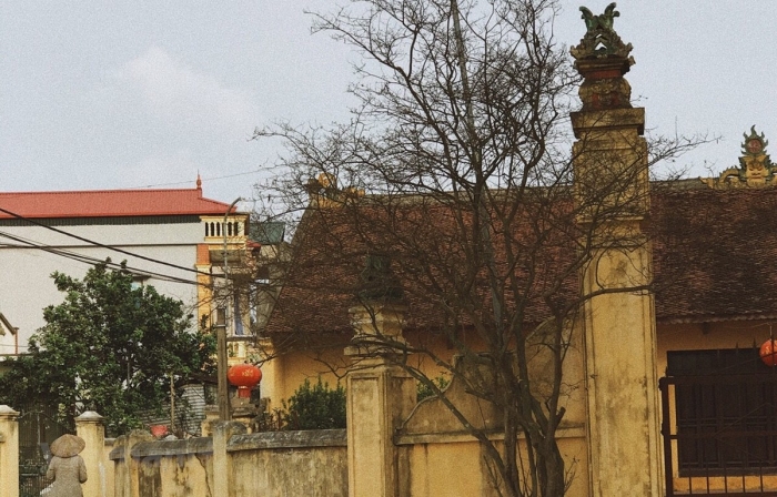 Làng Cựu – Vẻ đẹp 500 năm tuổi bị bỏ quên ngay thủ đô Hà Nội