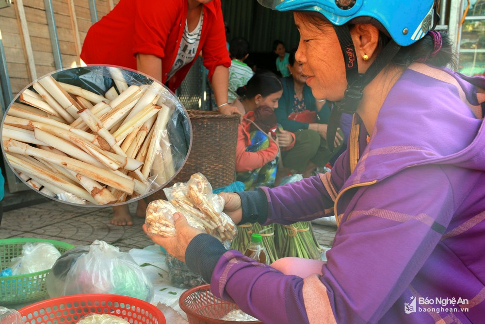 trai nghiem cho phien vung cao tuong duong voi cac loai rau cu doc dao