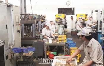 Hàng "made in Vietnam":  Băn khoăn hàm lượng  giá trị gia tăng 30%