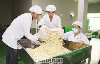 Ngành sản xuất Việt Nam suy giảm kỷ lục 
