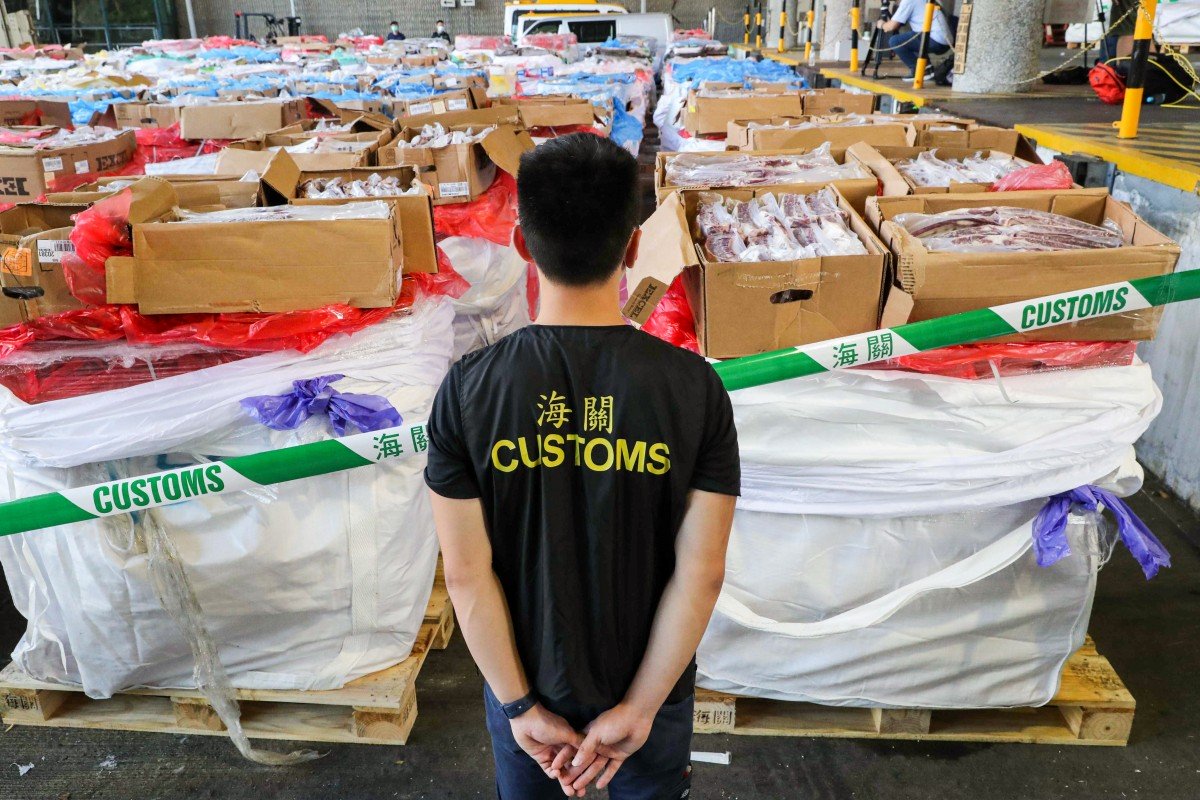 A customs official inspects a haul of seized contraband meat in June. About 2,500 tonnes of frozen meat, worth about HK$90 million (US$11.6 million) and destined for Guangdong province, have been seized so far this year. Photo: Edmond So