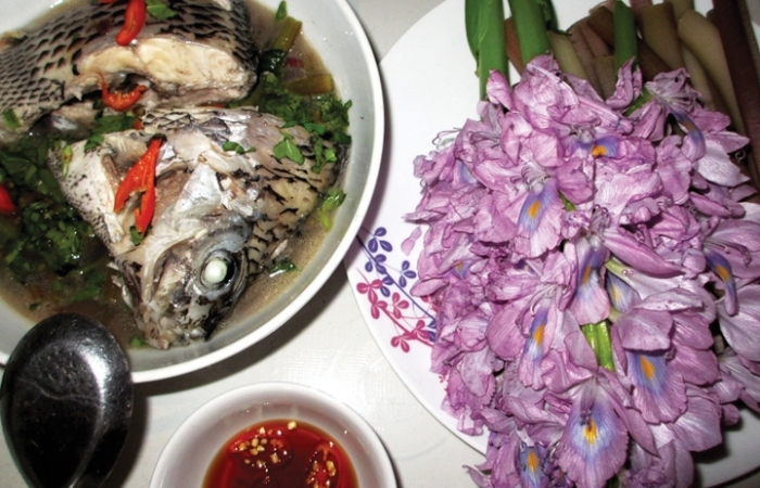 Về Tân Phú ăn canh chua hoa lục bình
