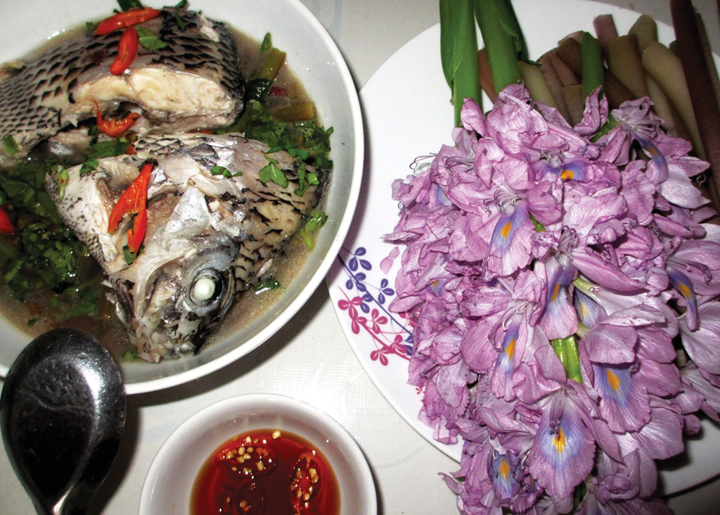 Về Tân Phú ăn canh chua hoa lục bình