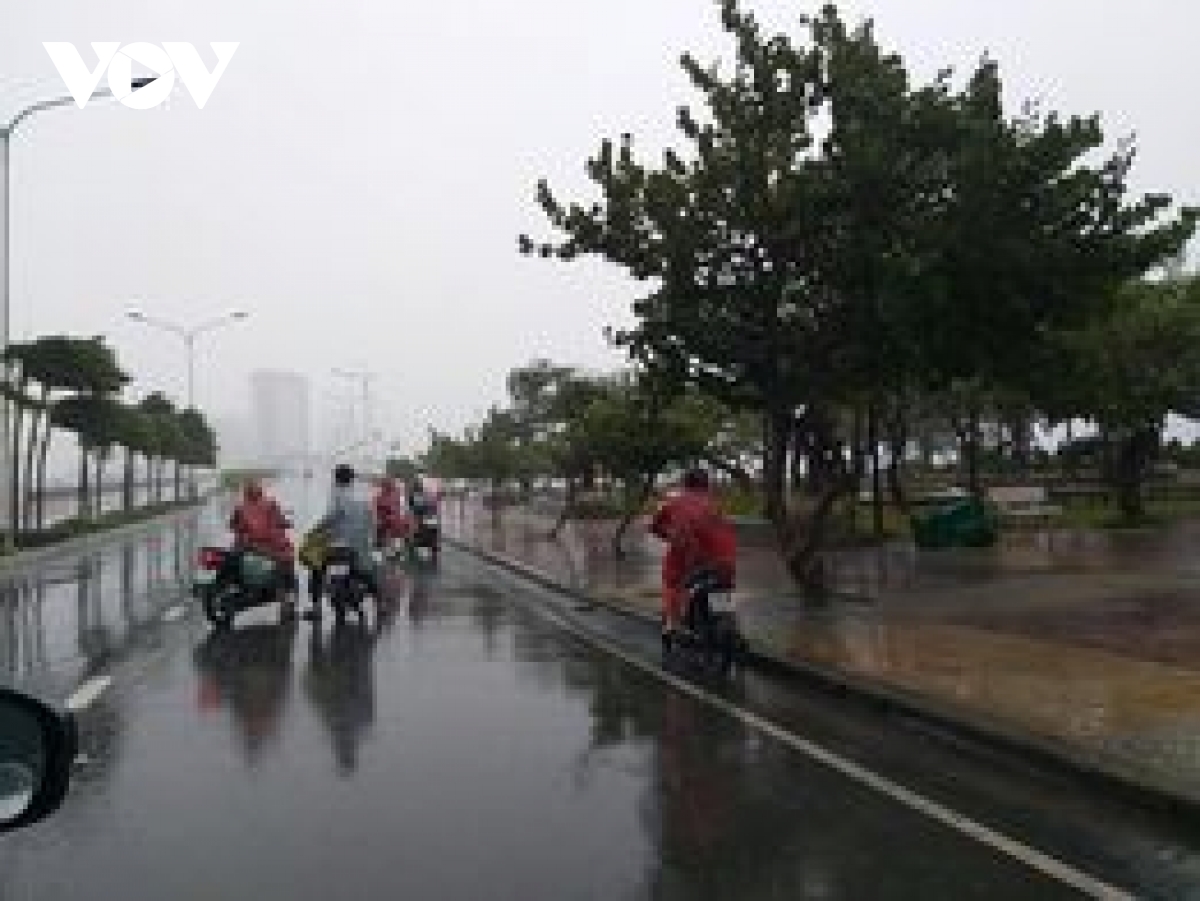 Bão số 12 đổ bộ vào Khánh Hòa, Phú Yên gây mưa lớn, nhiều cây xanh gãy đổ