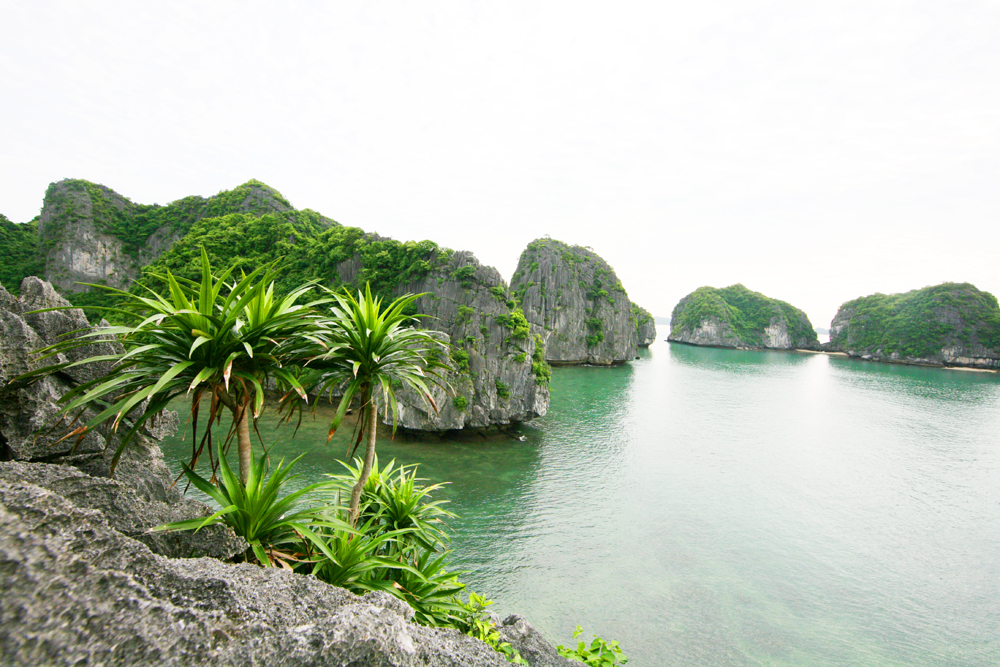 Khám phá vụng Kênh Khám phá vụng Kênh
