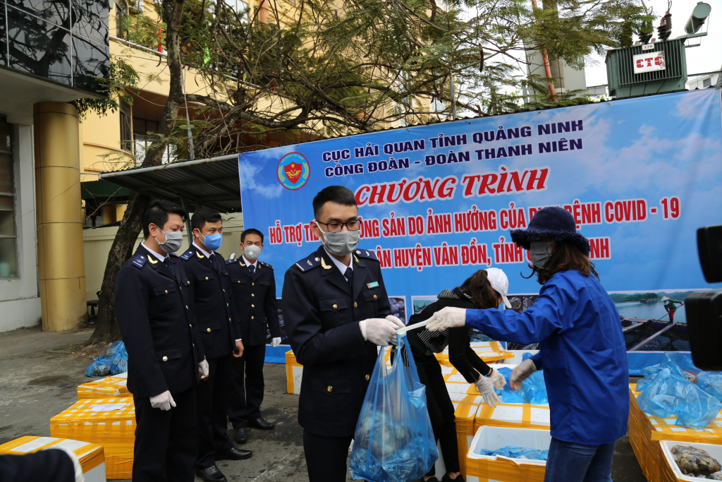 hai quan quang ninh ho tro tieu thu hon 3 tan hau ngao cho ba con huyen van don