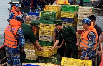 Quảng Ninh: Thu giữ 35.000 con vịt giống không rõ nguồn gốc