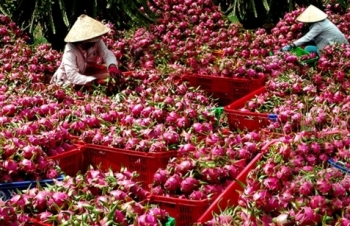 Hàng loạt nông sản Việt có “vé” xuất ngoại