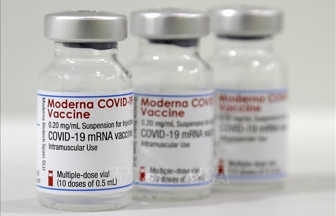 WHO xem xét khả năng cấp phép sử dụng khẩn cấp đối với vaccine Moderna