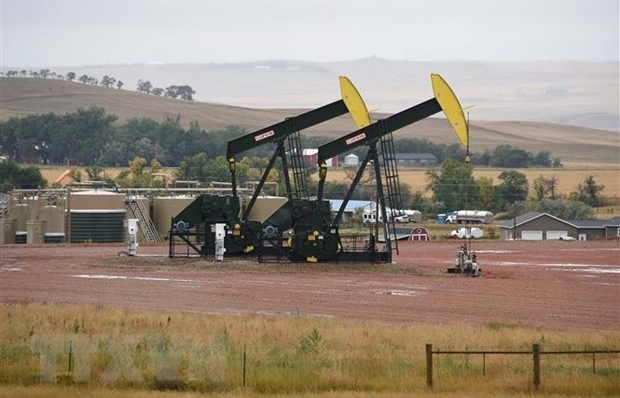 IEA hạ dự báo nhu cầu dầu mỏ của thế giới trong năm nay