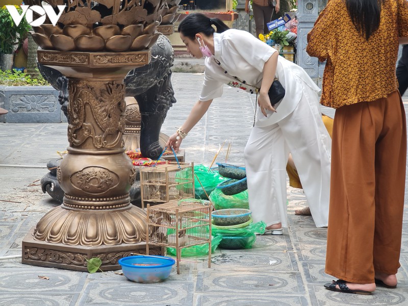 chua chien o ha noi vang ve, lac dac nguoi dan di le trong ngay ram thang 7 hinh 12