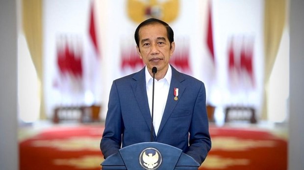 Tong thong Indonesia nhan manh trong tam nhiem ky Chu tich G20 hinh anh 1