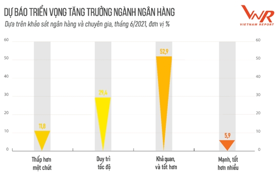 Ngân hàng Việt vẫn vững vàng trước sức “tàn phá” của đại dịch