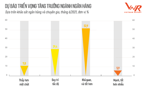 Ngân hàng Việt vẫn vững vàng trước sức “tàn phá” của đại dịch