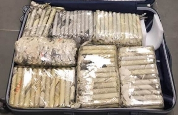 Hải quan Đà Nẵng thu giữ hơn 3.000 điếu xì gà vận chuyển qua đường hàng không