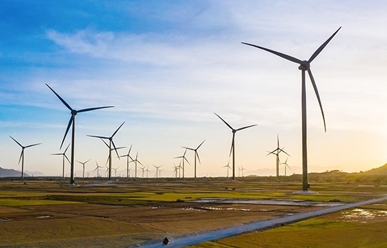 Quy hoạch điện 8 đặt mục tiêu phát triển mạnh các nguồn năng lượng tái tạo