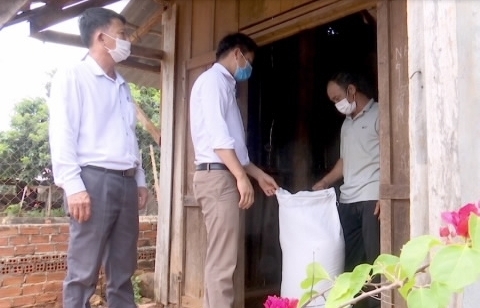 Xuất cấp gần 1.850 tấn gạo cho người dân Quảng Nam, Quảng Ngãi bị ảnh hưởng bởi dịch