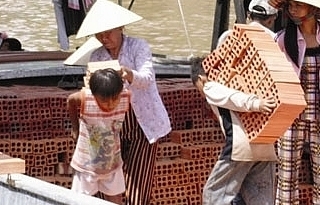 Tỉ lệ trẻ em dưới 14 tuổi phải lao động ở Việt Nam giảm nhanh