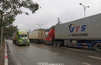 Trung Quốc dừng thông quan hàng hoá qua cửa khẩu Lạng Sơn 5 ngày liên tiếp 