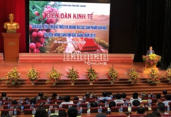 500 DN kết nối tiêu thụ sản phẩm nông sản tại Bắc Giang