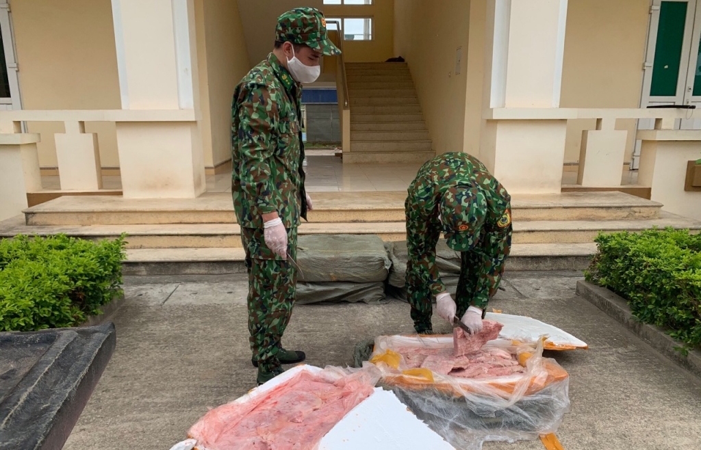 Lạng Sơn: Ngăn chặn buôn lậu, vận chuyển trái phép lợn qua biên giới