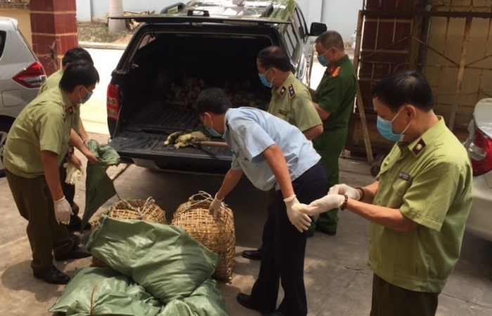 Hải quan Chi Ma phối hợp bắt 8.300 con gia cầm nhập lậu qua biên giới