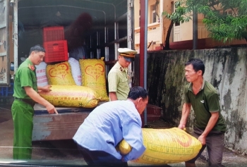 Lạng Sơn: Tiêu huỷ 1.610 kg quả trám nhập lậu