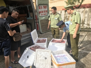 Lạng Sơn: Liên tiếp bắt nhiều vụ vận chuyển thực phẩm bẩn