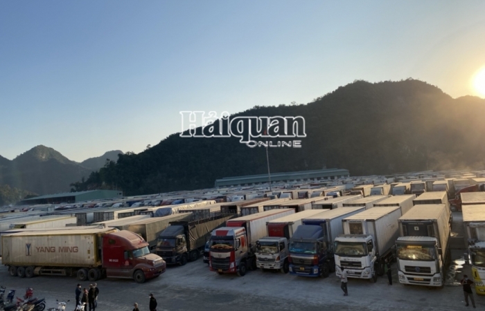 Hàng nghìn xe container nông sản ùn tắc tại các cửa khẩu Lạng Sơn