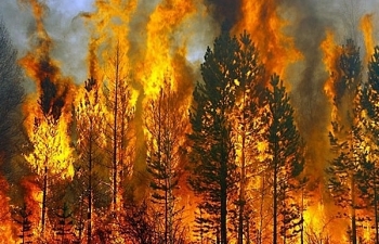 Nguy cơ cháy rừng cực cao vùng Tây Bắc, miền Trung, Tây Nguyên