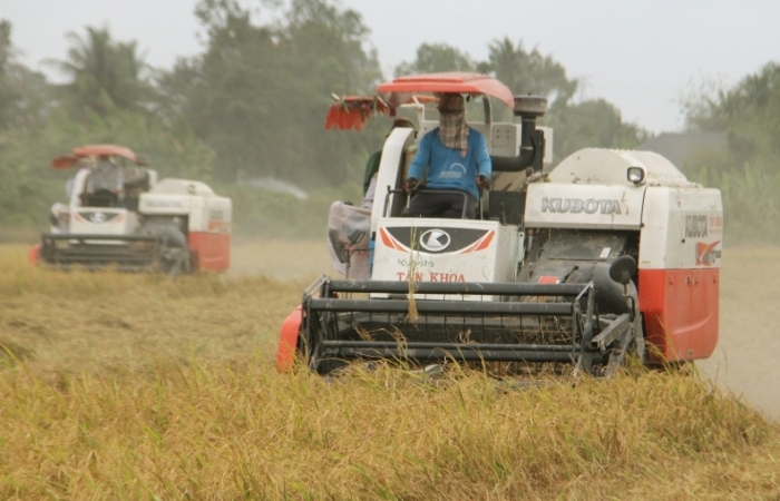 Xuất khẩu gạo thụt lùi đầu năm nhưng sẽ thắng lợi cả năm?