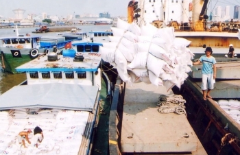 Ai Cập mời thầu quốc tế nhập khẩu 20.000 tấn gạo