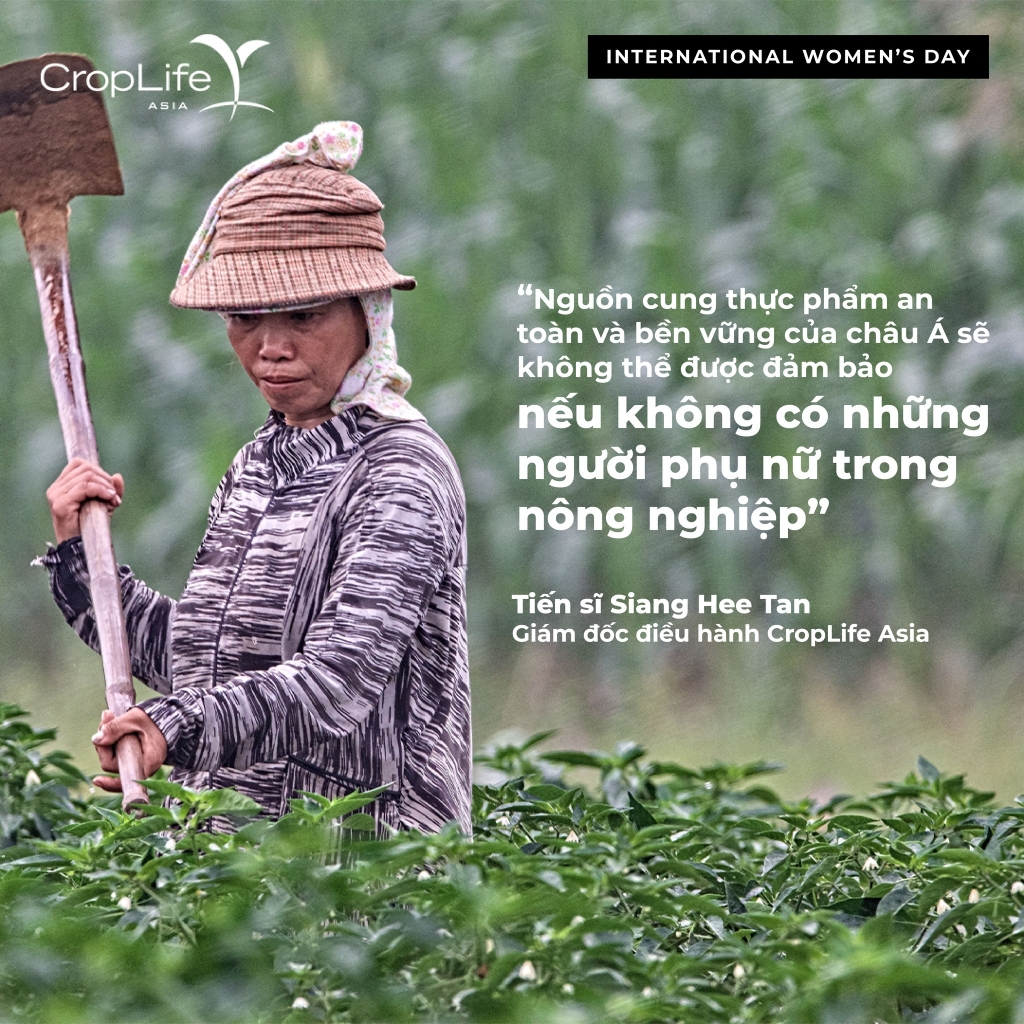 Hơn 65% nữ nông dân Đông Nam Á từng bị đối xử bất bình đẳng giới