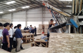 Việt Nam điều tra chống bán phá giá ván gỗ Thái Lan và Malaysia