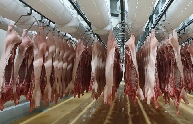 Nhập khẩu thịt từ Nga tăng mạnh tới hơn 180%