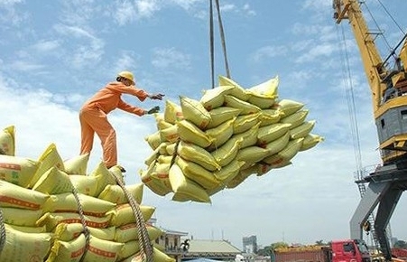 Lập Đoàn kiểm tra liên ngành nắm tình hình lượng gạo tại cảng