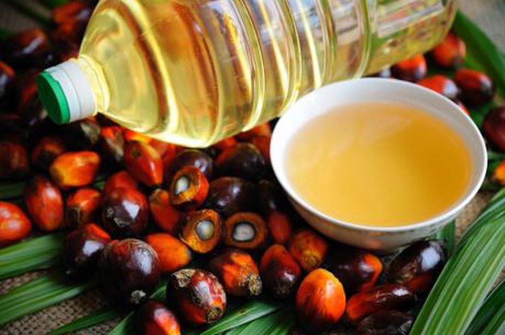 Indonesia cấm xuất khẩu dầu cọ thô (CPO) và dầu ăn