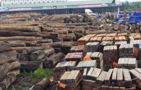 100% gỗ nhập khẩu phải có chứng chỉ để tránh kiện phòng vệ thương mại?